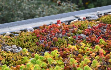 the cost of Llanfachraeth green roof installation